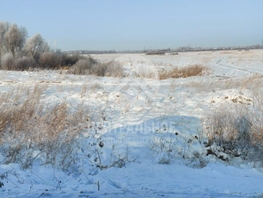 Участок, 530 сот., Земля сельхозназначения