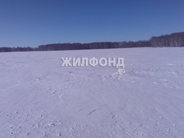 Участок, 460857 сот., Земля сельхозназначения