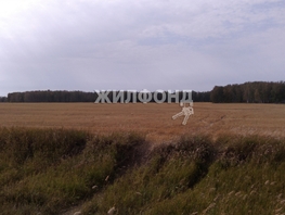 Продается Земля сельхозназначения Советская ул, 460857 сот., 2500000 рублей
