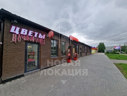 Сдается Офис Дианова ул, 55.4 м², 83100 рублей