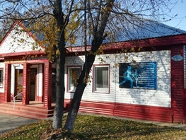 Торговое, 195 м², 1 этаж
