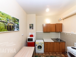 Продается 1-комнатная квартира Фрунзе пр-кт, 24.5 м², 2600000 рублей