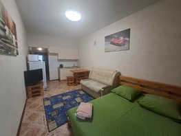 Снять однокомнатную квартиру Ивана Черных ул, 40  м&sup2;, 2891 рублей