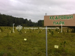Участок, 1600 сот., Земля населенных пунктов