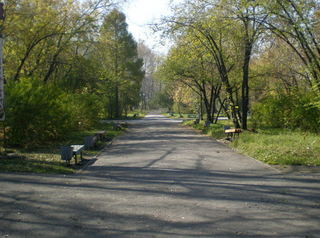 В парке Комсомольский в Иркутске обустроят зоны отдыха и спорта
