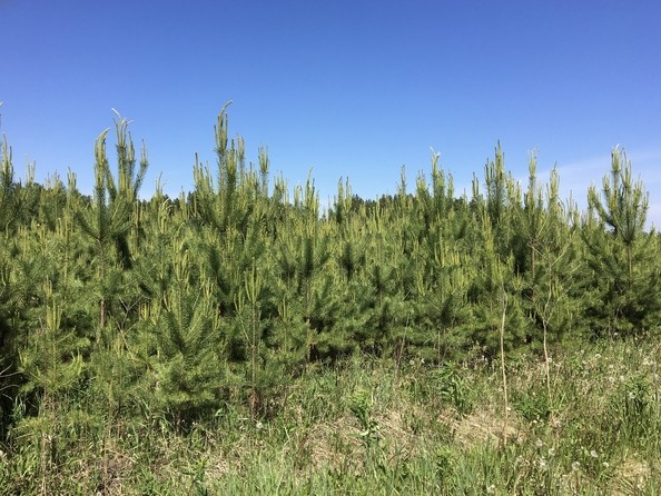 Село Шила — карта, что посмотреть, фото, как добраться, координаты