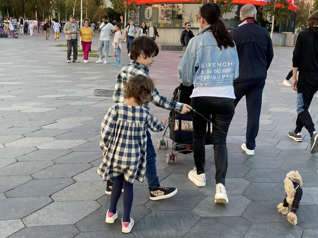 Материнский капитал хотят разрешить использовать на ремонт квартиры Материнский капитал хотят разрешить использовать на ремонт квартиры